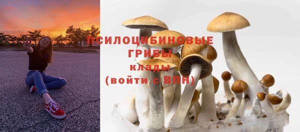 прущая мука Остров