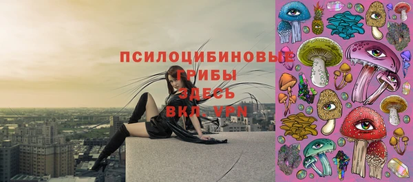 прущая мука Остров