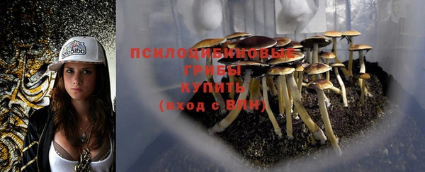 гашишное масло Осташков