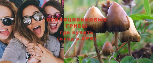 прущая мука Остров