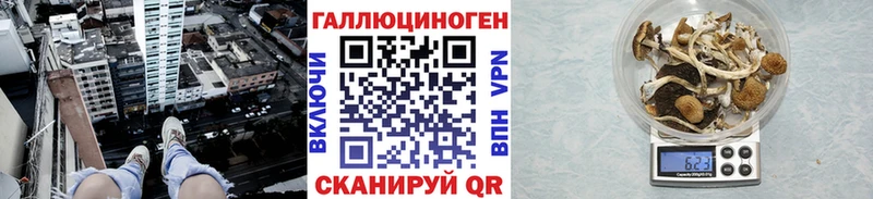 darknet формула  Гвардейск  Псилоцибиновые грибы GOLDEN TEACHER  kraken маркетплейс 